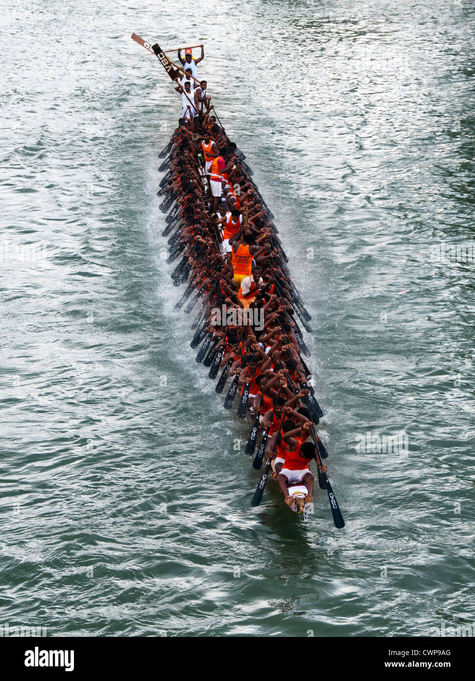 Snake boat race durante onam celebrazione di Alleppey, Alappuzha, Kerala Foto Stock