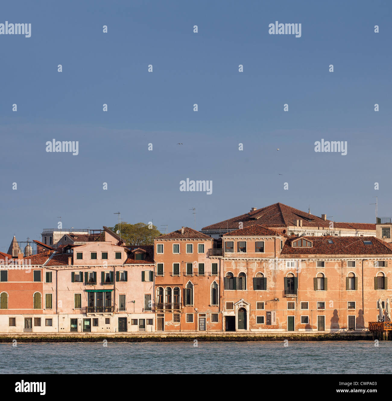 Canale della Giudecca, Venezia, Italia Foto Stock