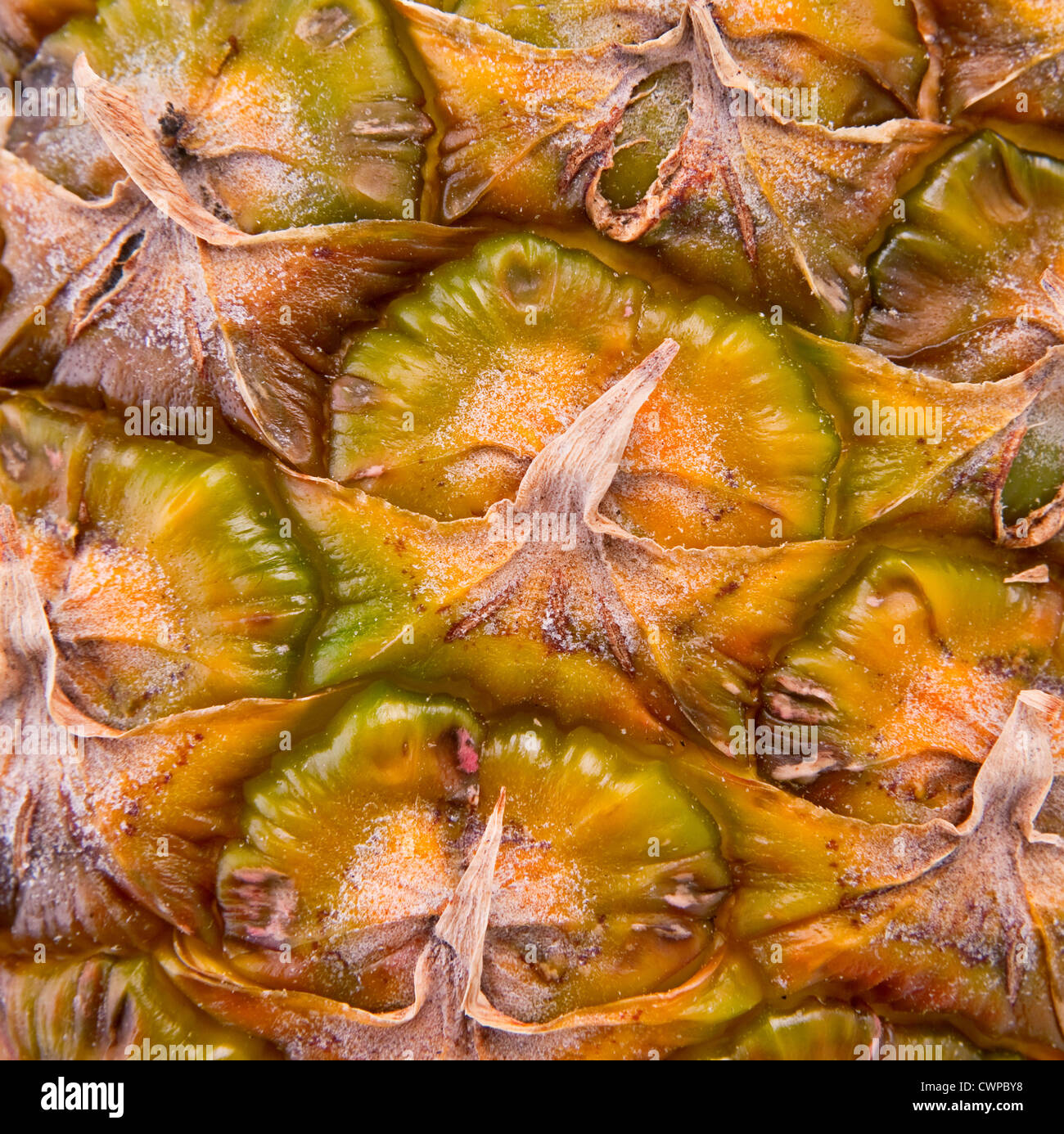 Ananas frutta sfondo macro Foto Stock