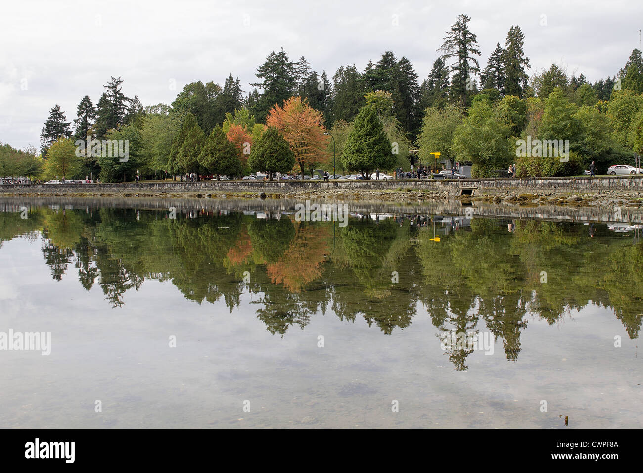 Stanley Park a Vancouver BC Canada lungo False Creek Seawall Foto Stock