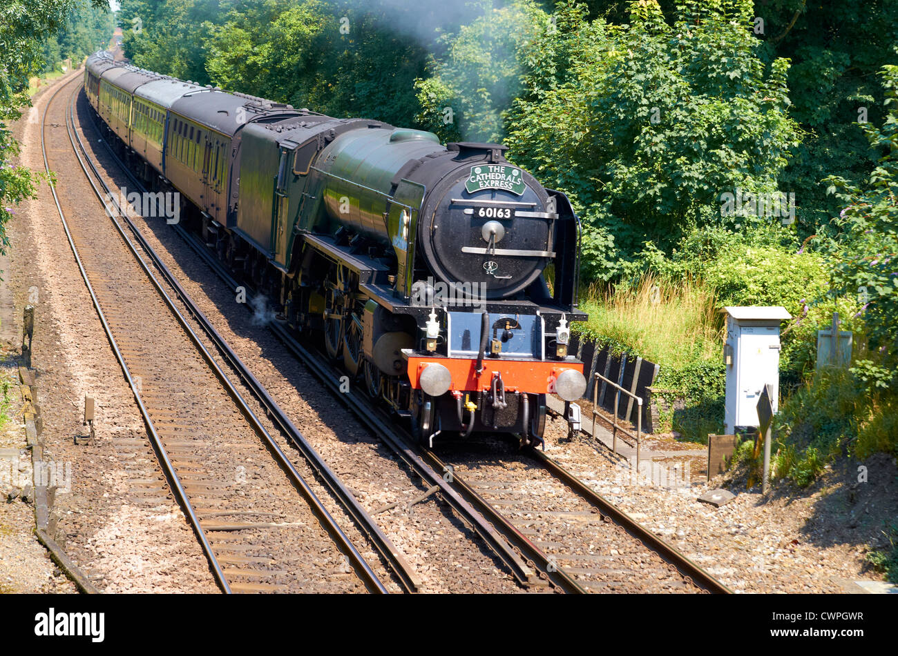 La nuova build locomotiva a vapore A1 classe n. 60163 'Tornado' in velocità il passaggio di Santa Croce, Winchester, Hampshire 26 luglio 2012. Foto Stock