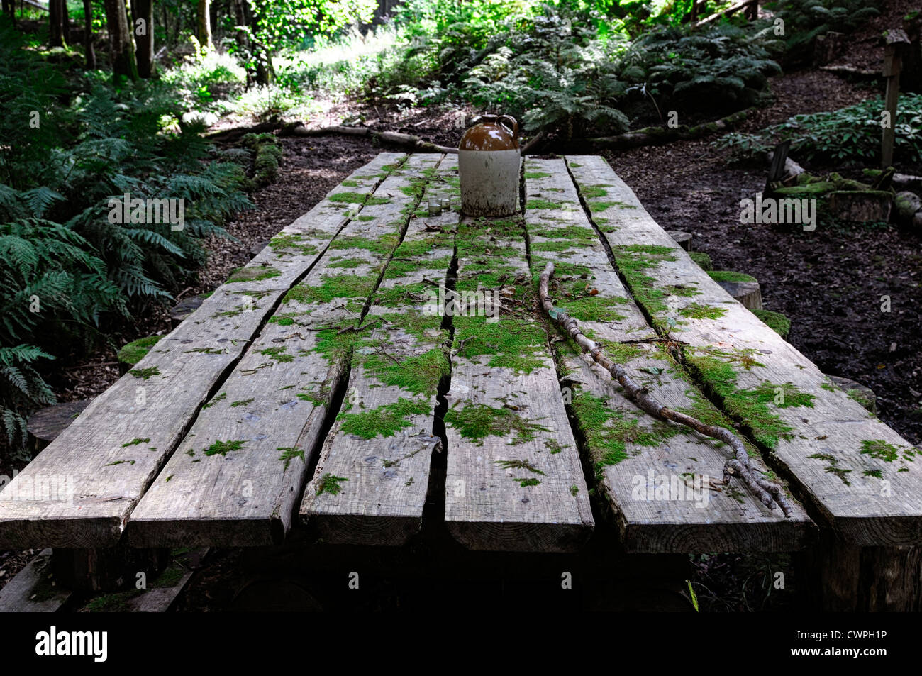 Rustico in legno legno tabella boschiva all'aperto il soggiorno all'aperto da pranzo giardini huntingbrook wicklow caccia brook Foto Stock