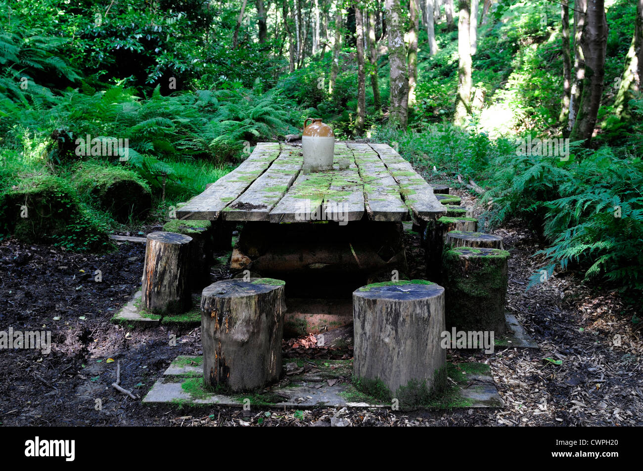 Rustico in legno legno tabella boschiva all'aperto il soggiorno all'aperto da pranzo giardini huntingbrook wicklow caccia brook Foto Stock
