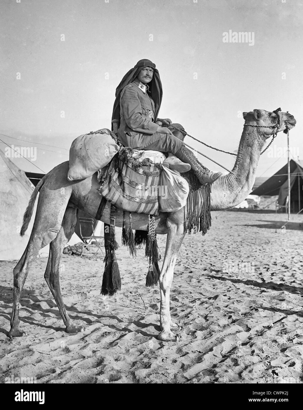 Red Crescent sul cammello in Palestina, la Prima Guerra Mondiale Foto Stock