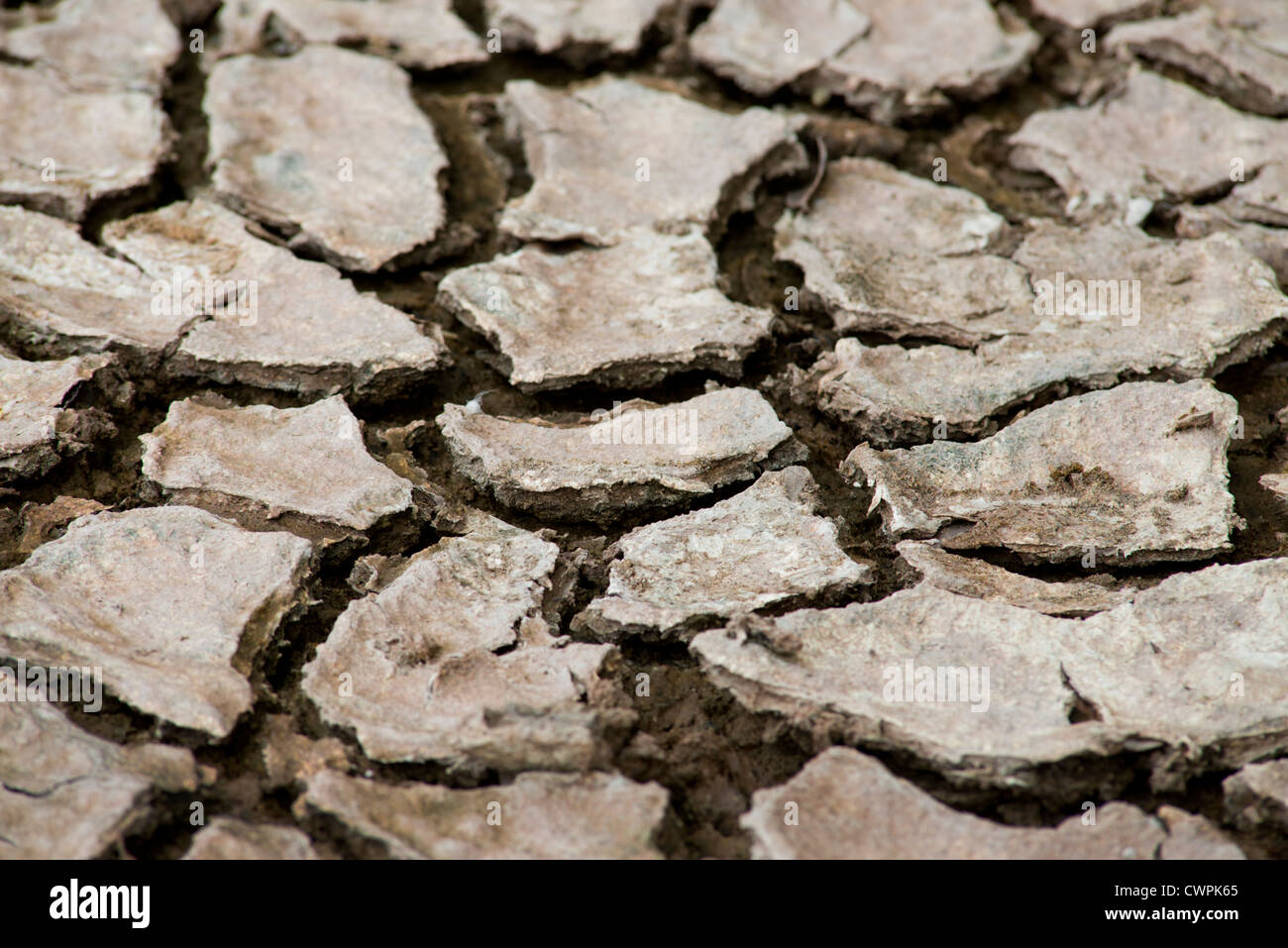 Ecuador, Galapagos, Floreana, Punta Cormoran. Laguna a secco con fango incrinato. Foto Stock