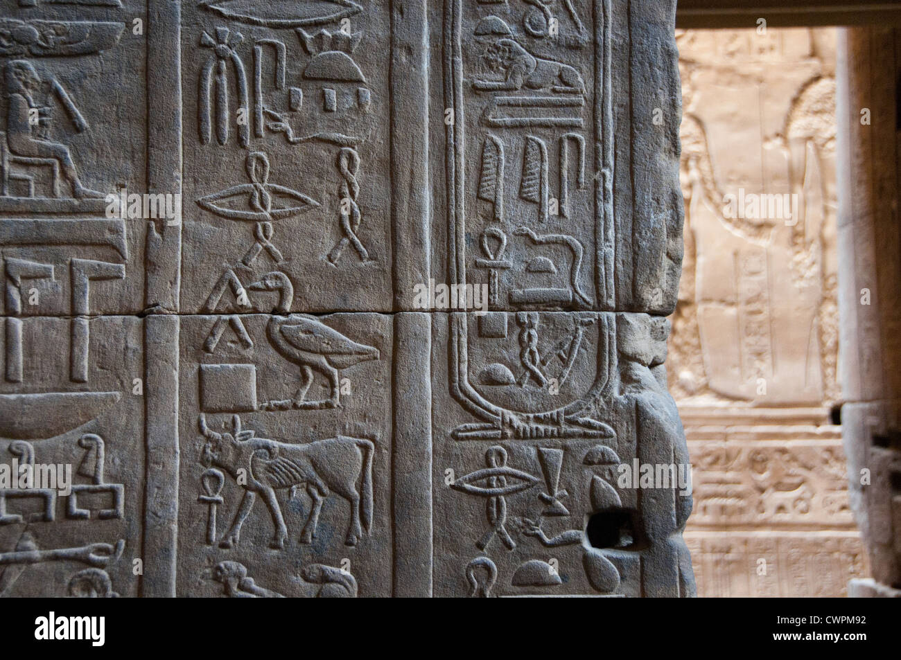 Antichi geroglifici egiziani del Tempio di Edfu Alto Egitto Foto Stock