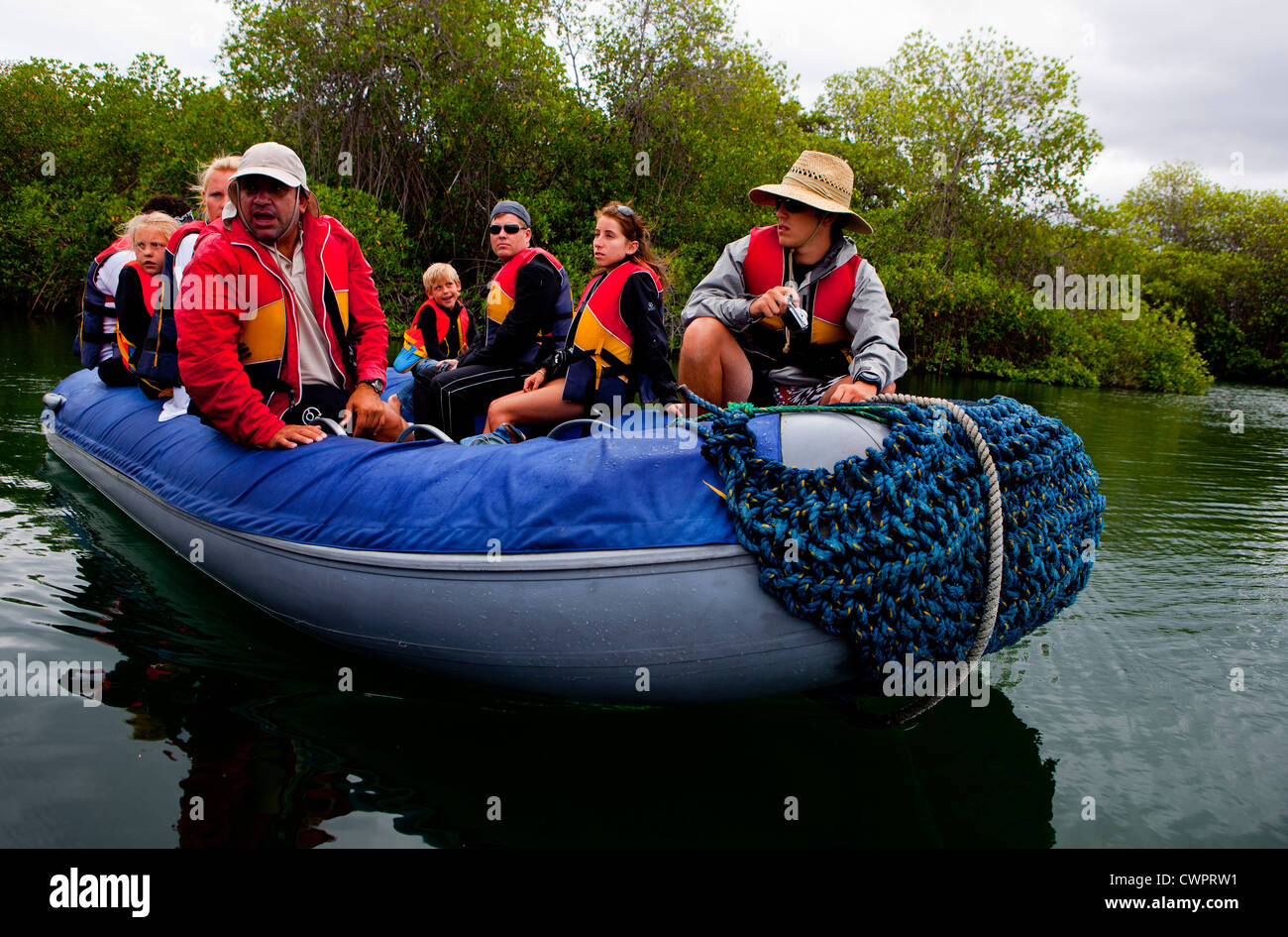 Guida Naturalista, Fabricio Carbo mostra un gruppo di canali di mangrovie in Elizabeth Bay, Isabela Island, Galapagos Foto Stock