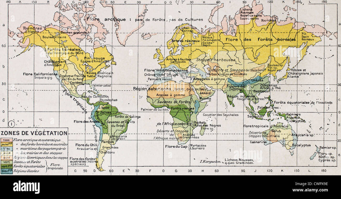 Zone di vegetazione mappa vecchia Foto Stock