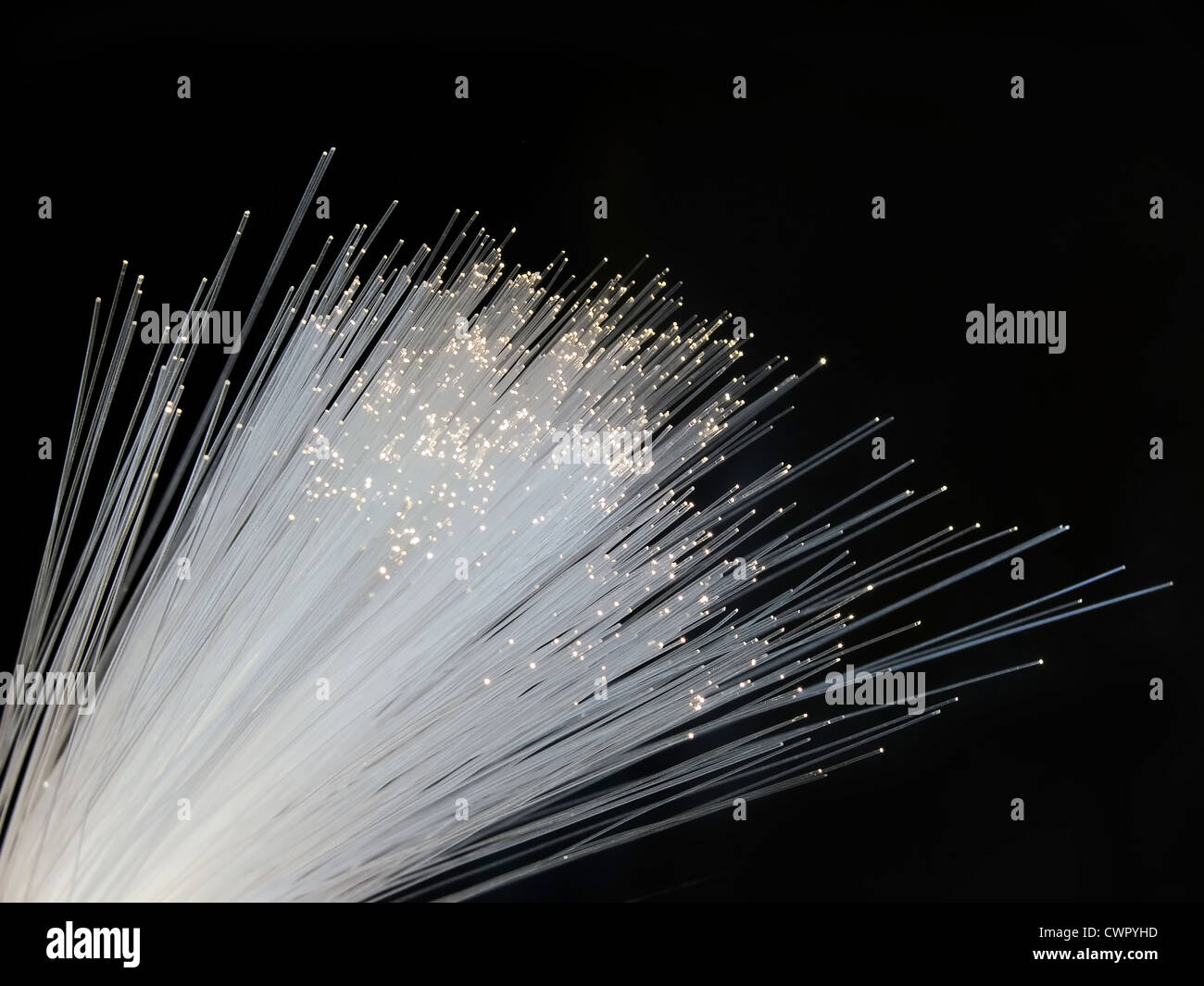 Fibra ottica isolata su sfondo nero Foto Stock