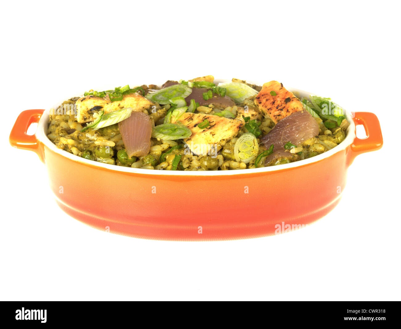 Aromatici pollo yogurt Foto Stock