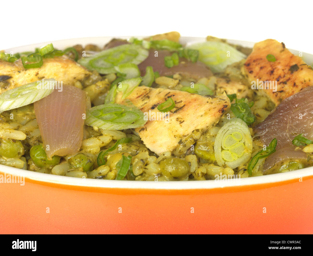 Aromatici pollo yogurt Foto Stock