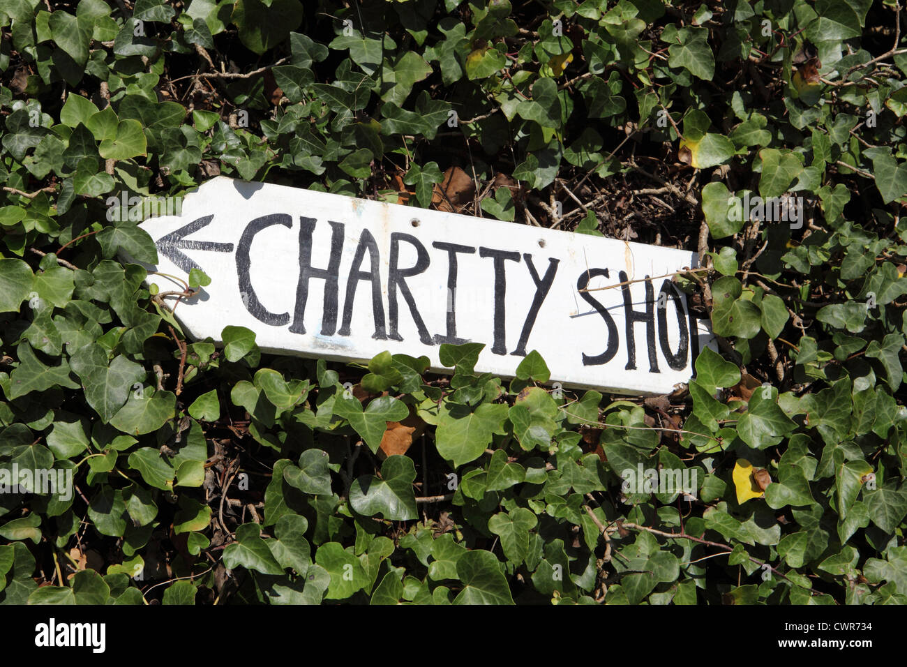 Scritto a mano dito segno marcatore puntando alla carità Shop, sulla parete circondata da edera, Cornwall, Regno Unito. Foto Stock
