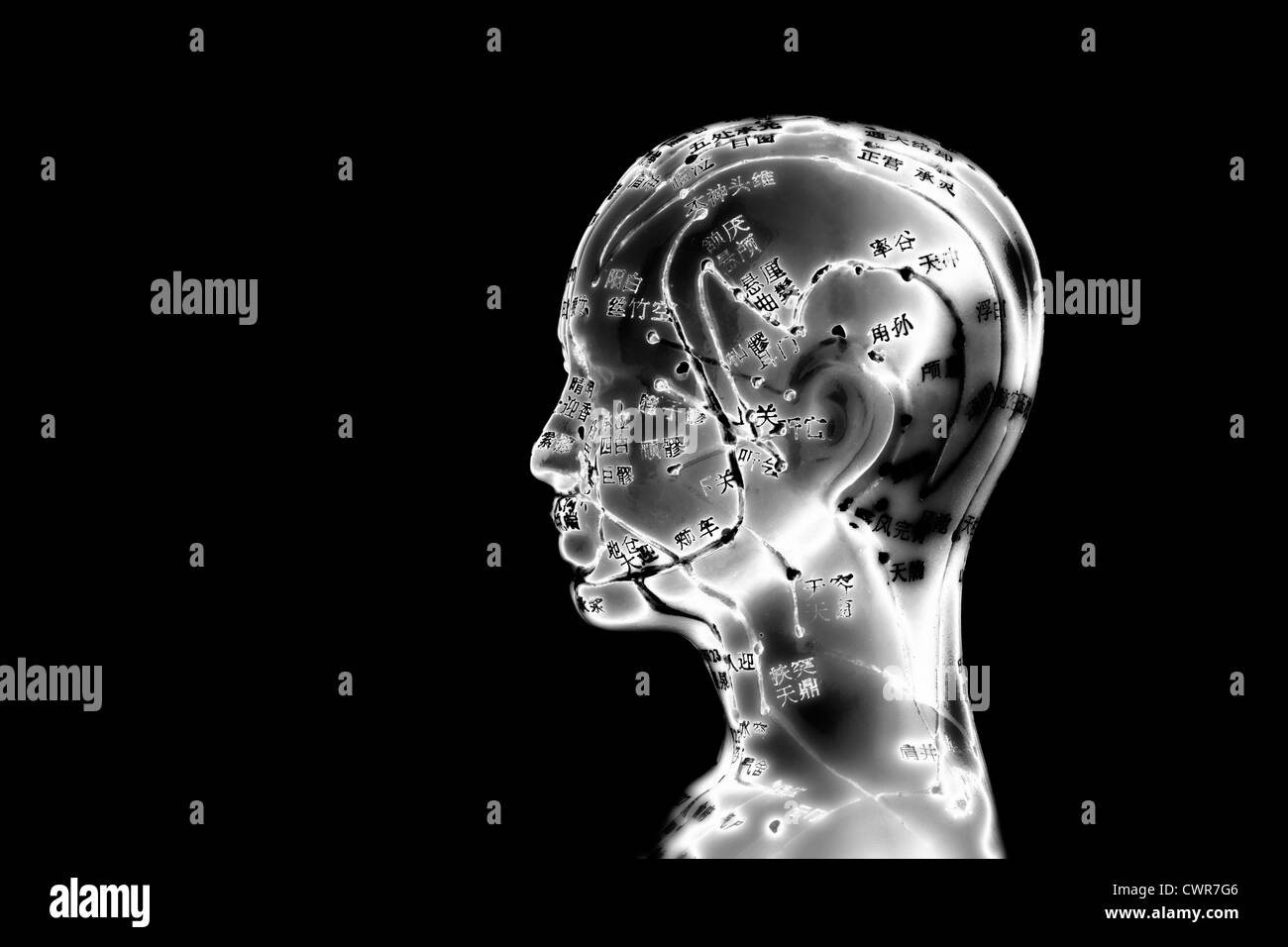 Un modello femminile con segnato punti di agopuntura, caratteri cinesi sui meridiani, medicina tradizionale cinese Foto Stock