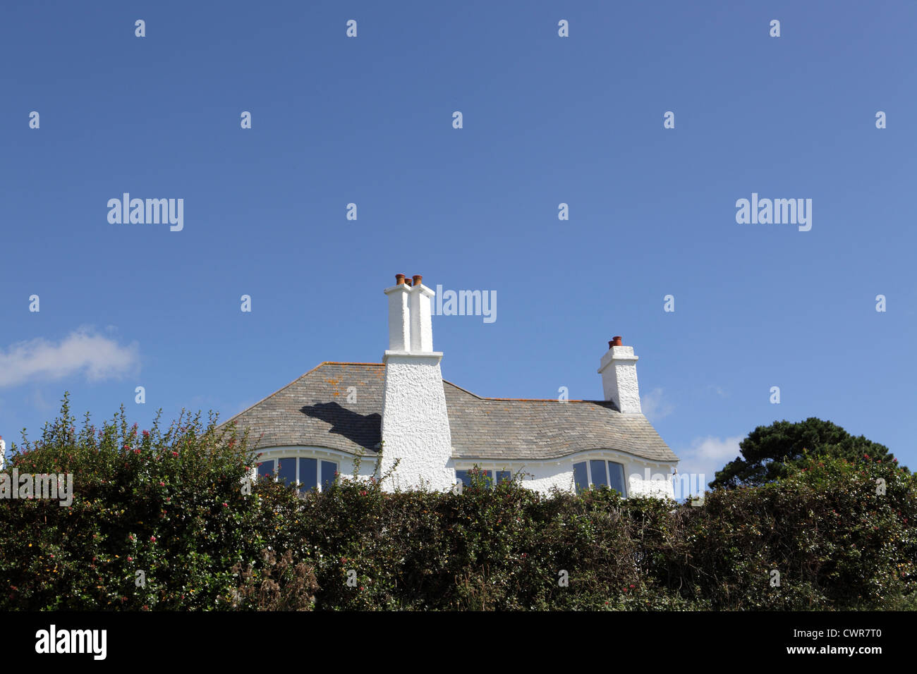 UK stock abitativo esterno blu cielo soleggiato, arti e mestieri di casa stile oscurata dalla siepe alta. Privacy. Cornwall, Regno Unito Foto Stock