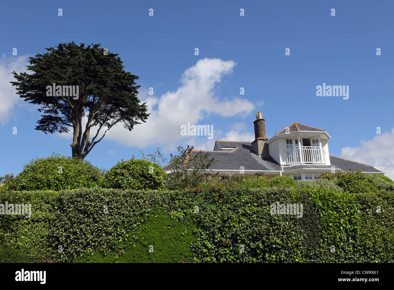 UK stock abitativo esterno blu cielo soleggiato, arti e mestieri di casa stile oscurata dalla siepe alta. Privacy. Cornwall, Regno Unito Foto Stock