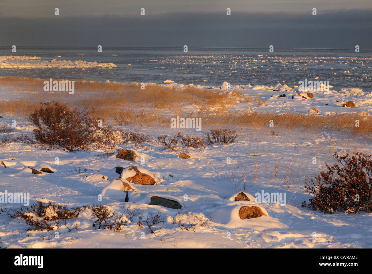Baia di Hudson litorale all'inizio dell'inverno, guarnizione patrimonio fluviale Lodge, Churchill, Manitoba, Canada Foto Stock