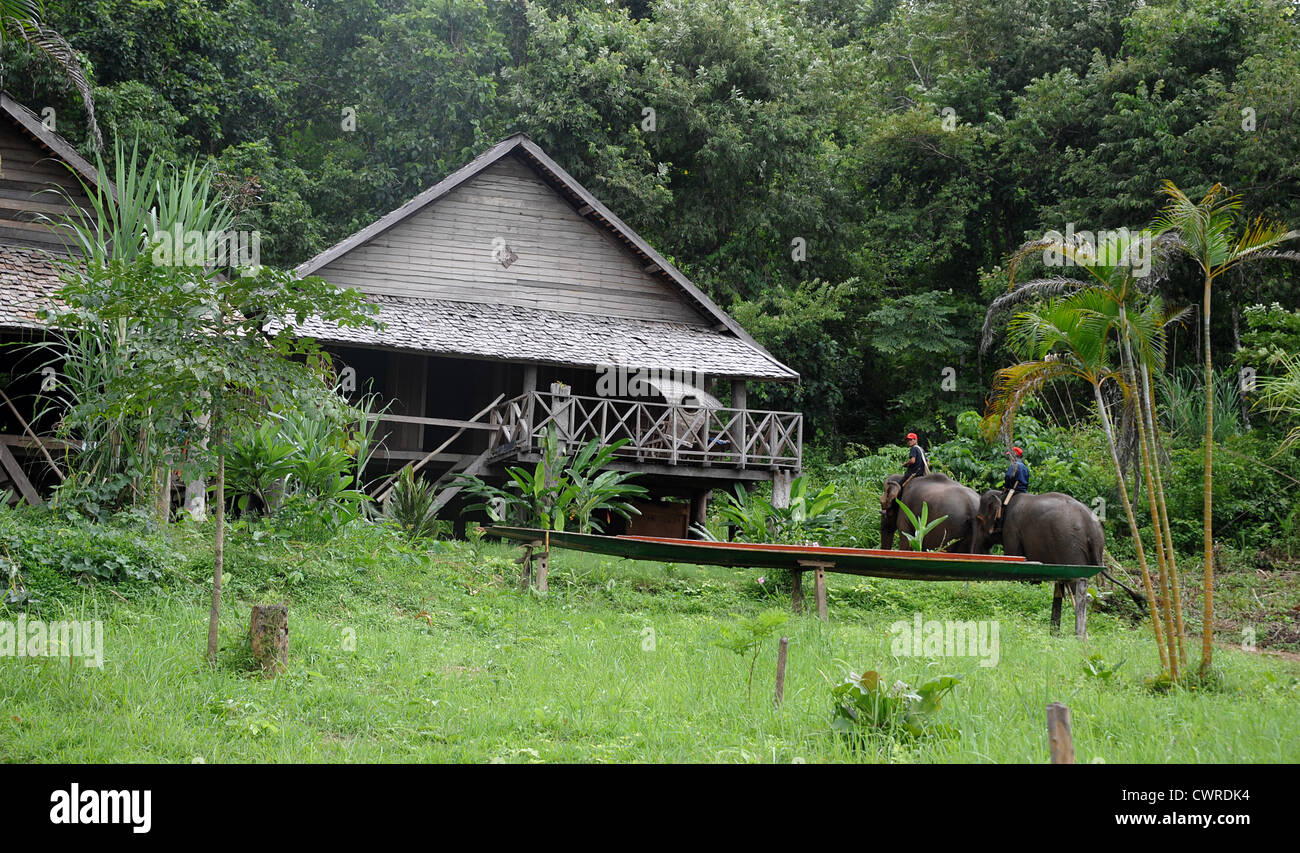 Felice papà reca grave podgy carino figlio. Foto Stock