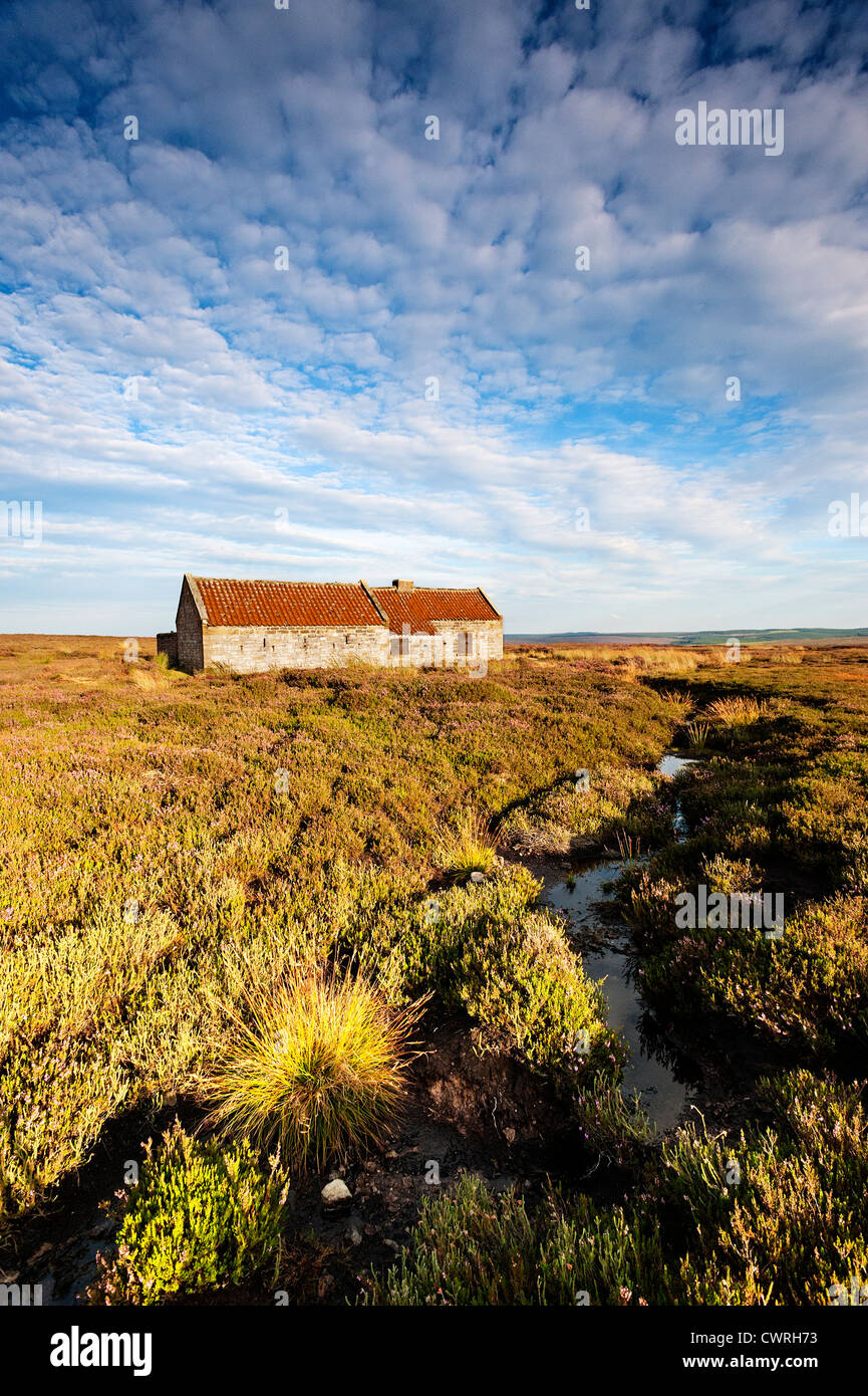 La casa di tiro, Egton alta Moor Foto Stock