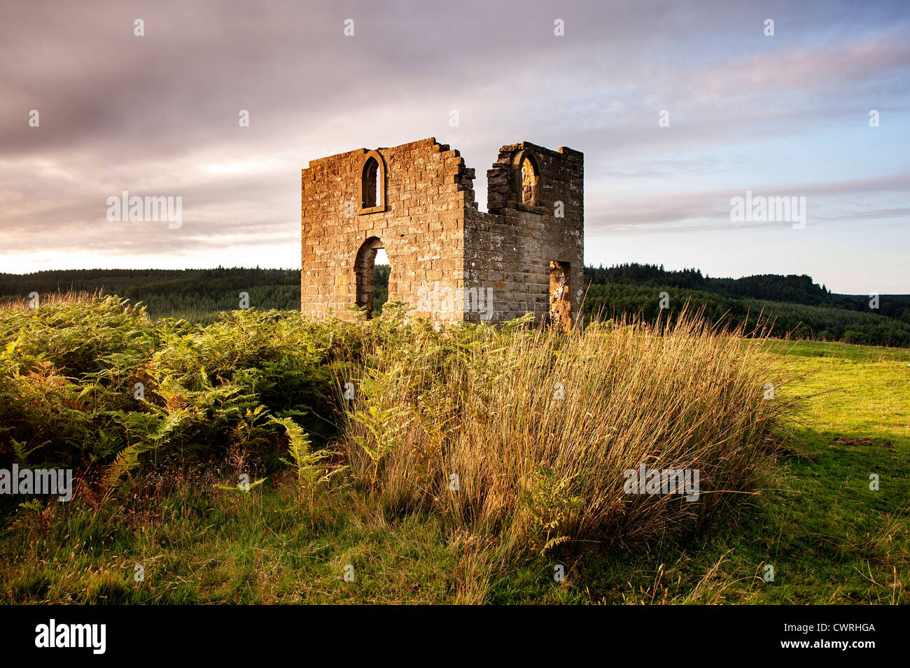 La rovina di Skelton Torre che sovrasta Newtondale nel North Yorkshire Moors National Park Foto Stock