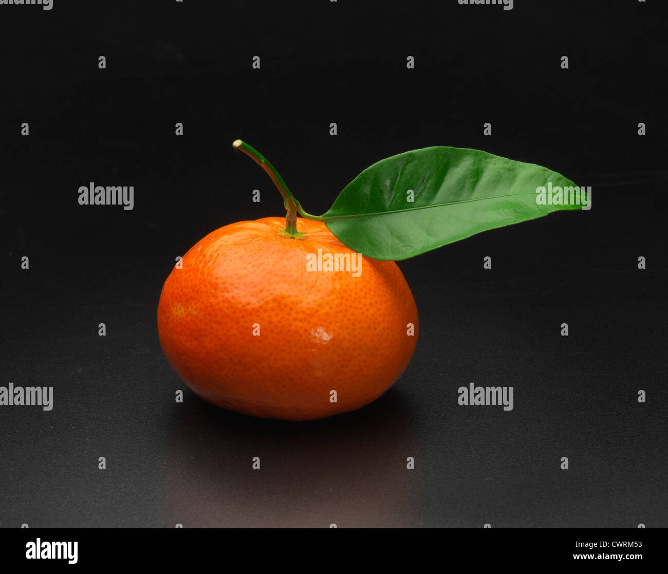 Mandarino su sfondo nero Foto Stock