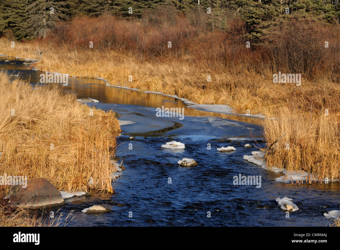 Jackfish Creek nel tardo autunno, Equitazione Mountain National Park, Manitoba, Canada Foto Stock