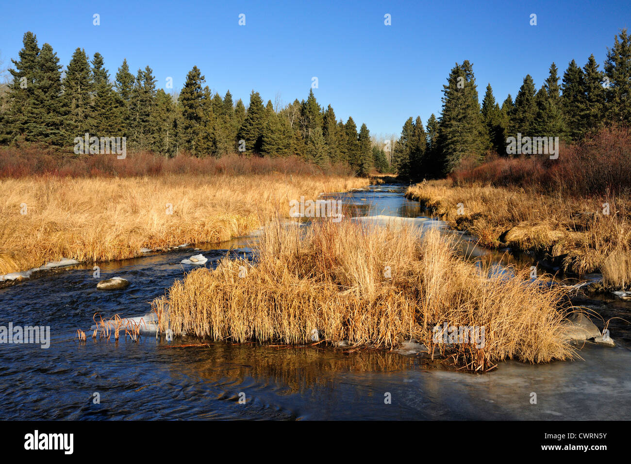 Jackfish Creek nel tardo autunno, Equitazione Mountain National Park, Manitoba, Canada Foto Stock