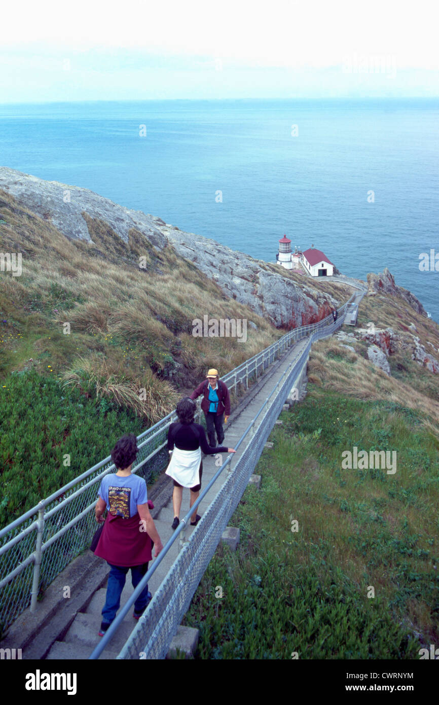 Point Reyes National Seashore, California, Stati Uniti d'America - i turisti a piedi su / giù 300 gradini / Scale al punto Reyes faro Foto Stock