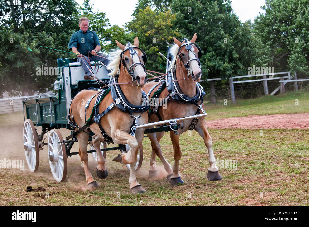 La mostra nazionale del cavallo al Evangeline fiera agricola e Acadian Festival in Prince Edward Island, Canada. Foto Stock