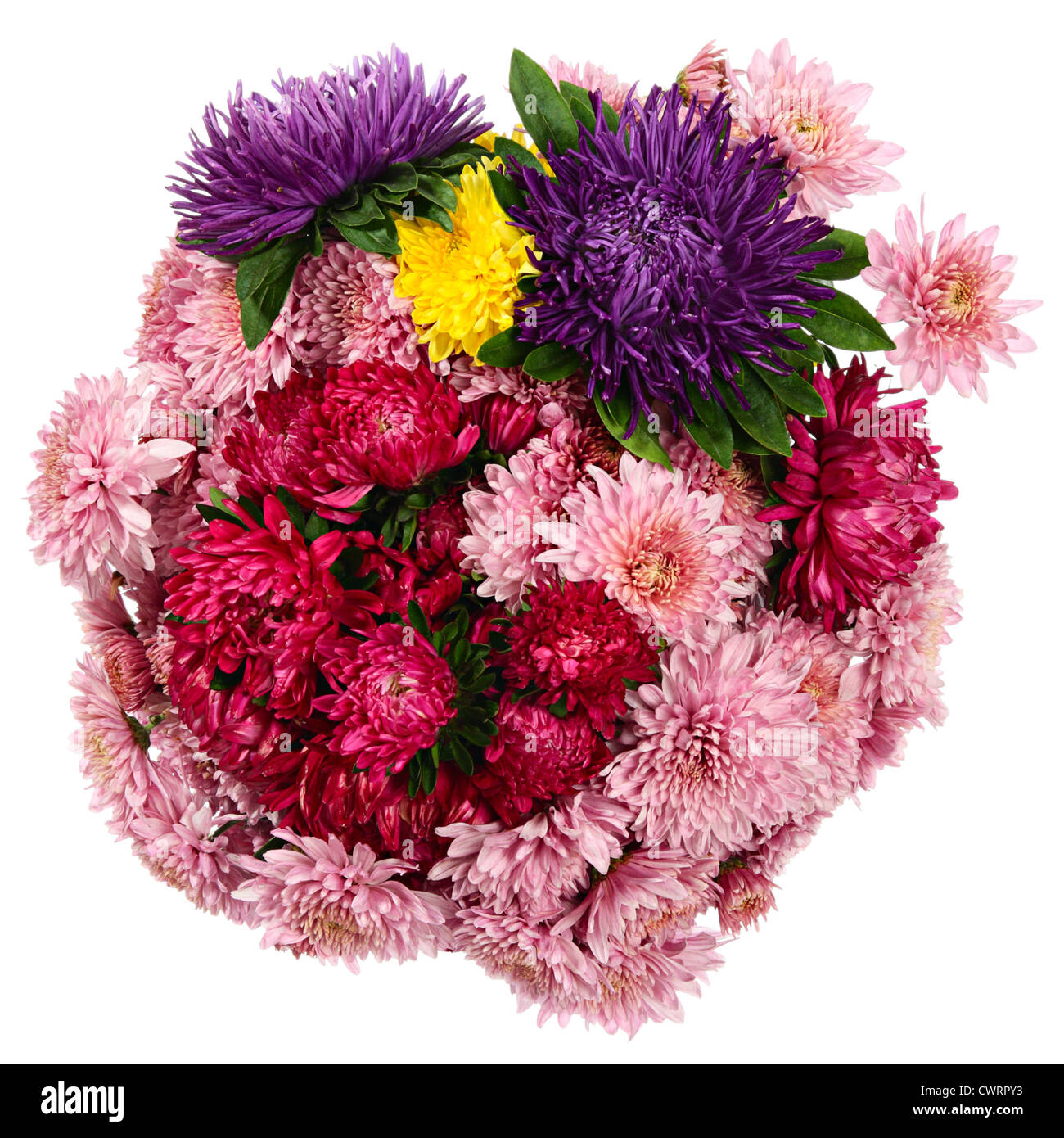 Magic autunno bouquet di fiori su sfondo bianco Foto Stock