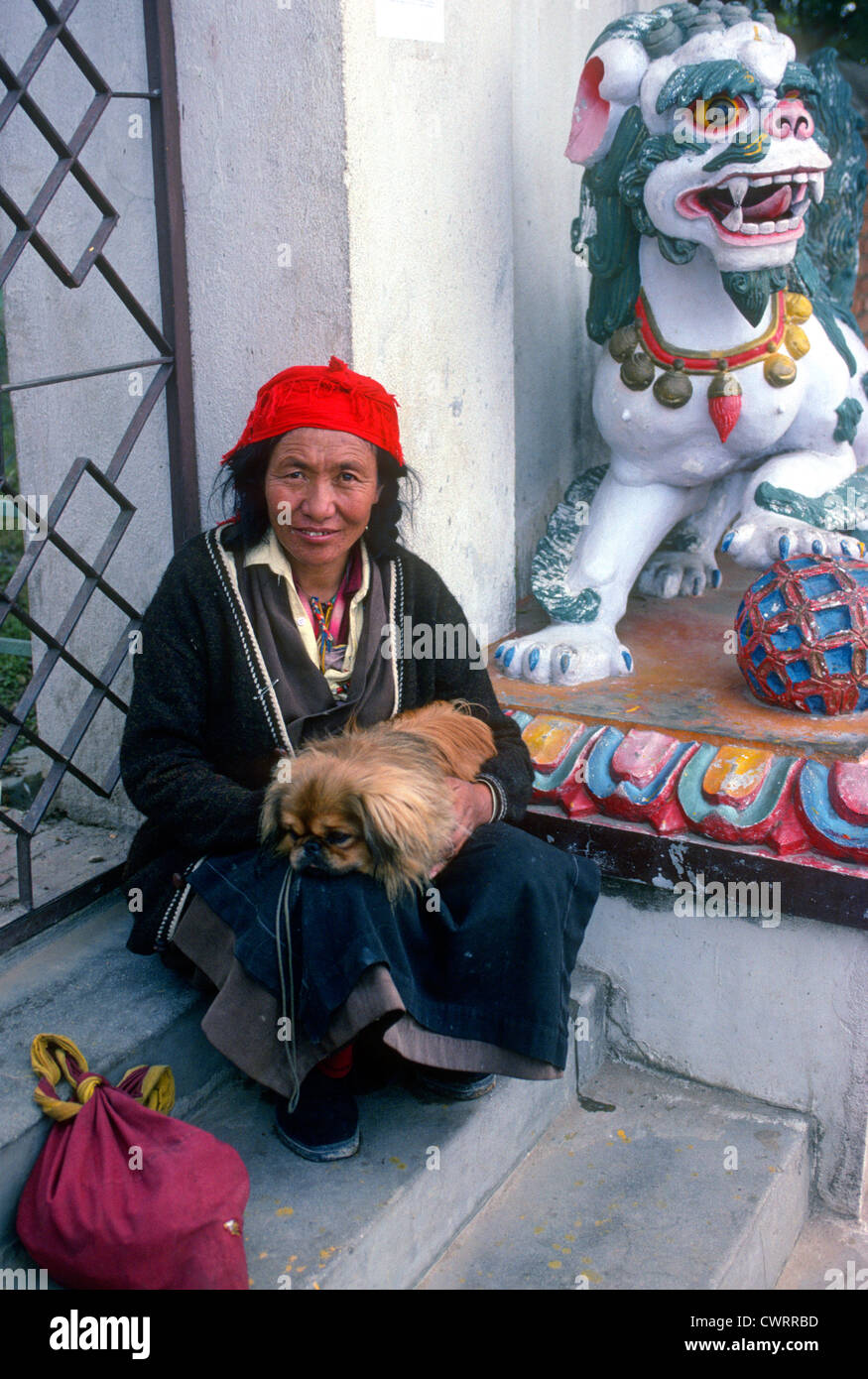 Donna con Pekinese cagnolino Kathmandu in Nepal Foto Stock