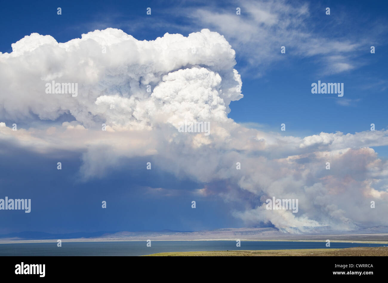 Il fumo e una nuvola si innalza al di sopra di un wildfire vicino Lago Mono Foto Stock