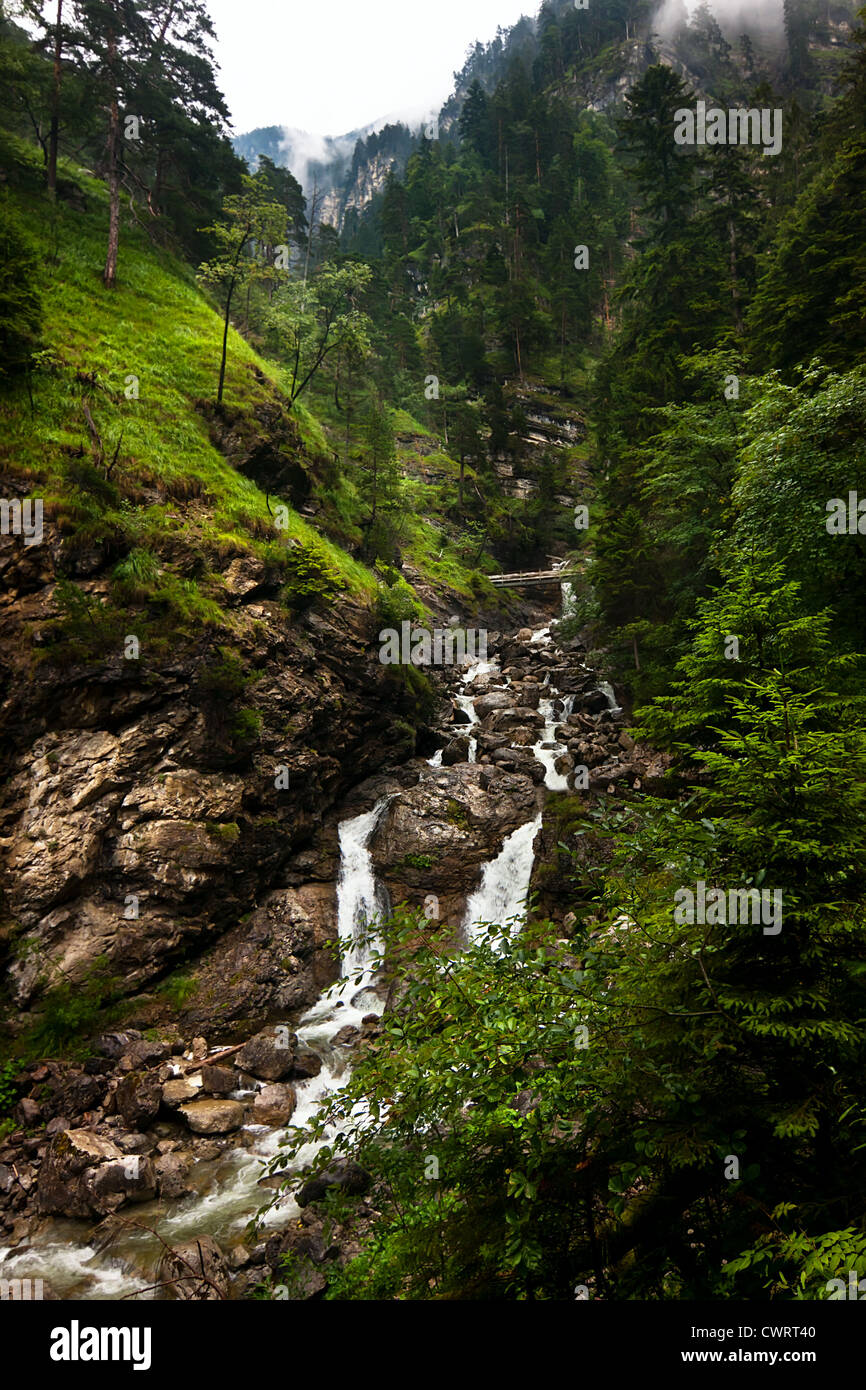 Fast fiume alpino nella foresta delle Alpi Foto Stock
