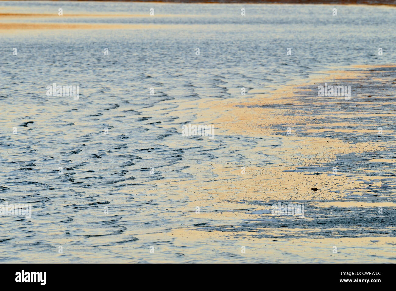 Azione di onda in laguna protetta dietro foredunes, Anastasia State Park, St. Augustine, Florida, Stati Uniti d'America Foto Stock