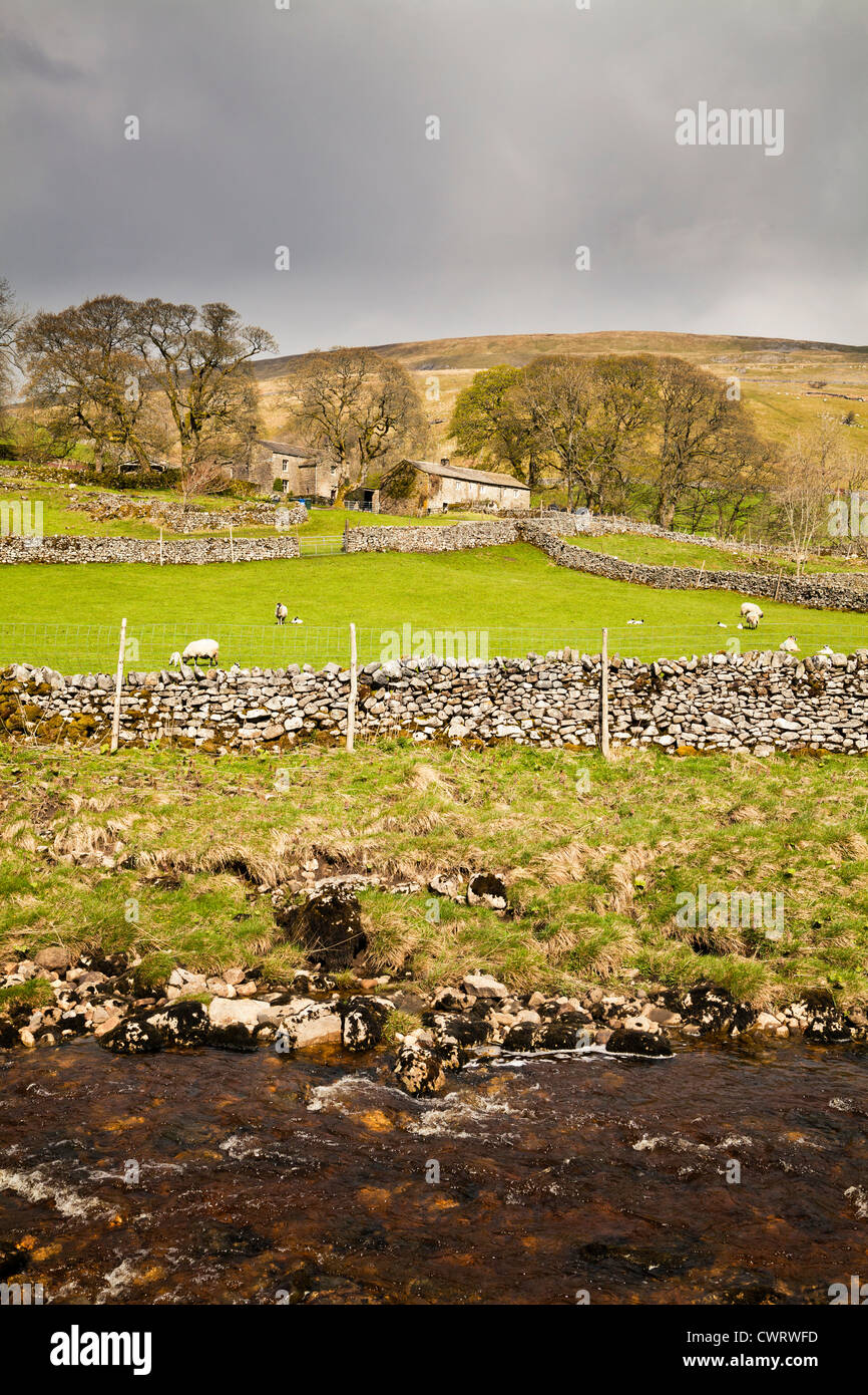 In Deepdale Langstrothdale nel Yorkshire Dales, North Yorkshire. Foto Stock