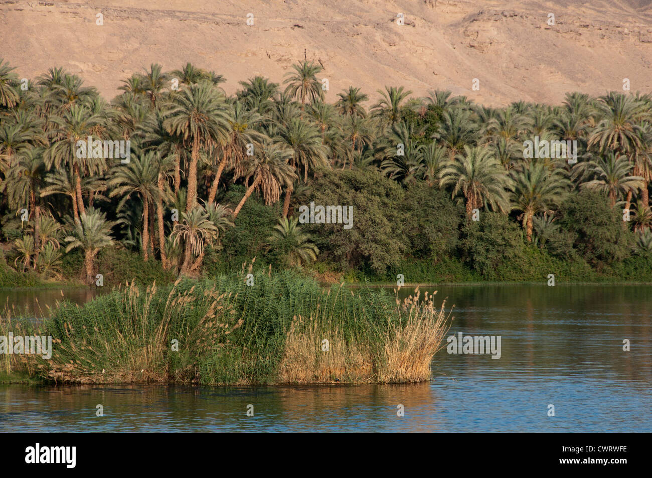 Alto Egitto, fiume Nilo campagna tra Luxor e Aswan Foto Stock