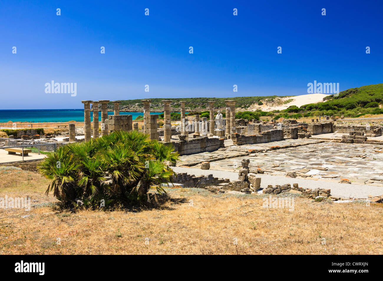 Forum e Basilica a Baelo Claudia rovine romane a Bolonia beach, Tarifa, Cadice, Andalusia, Spagna Foto Stock