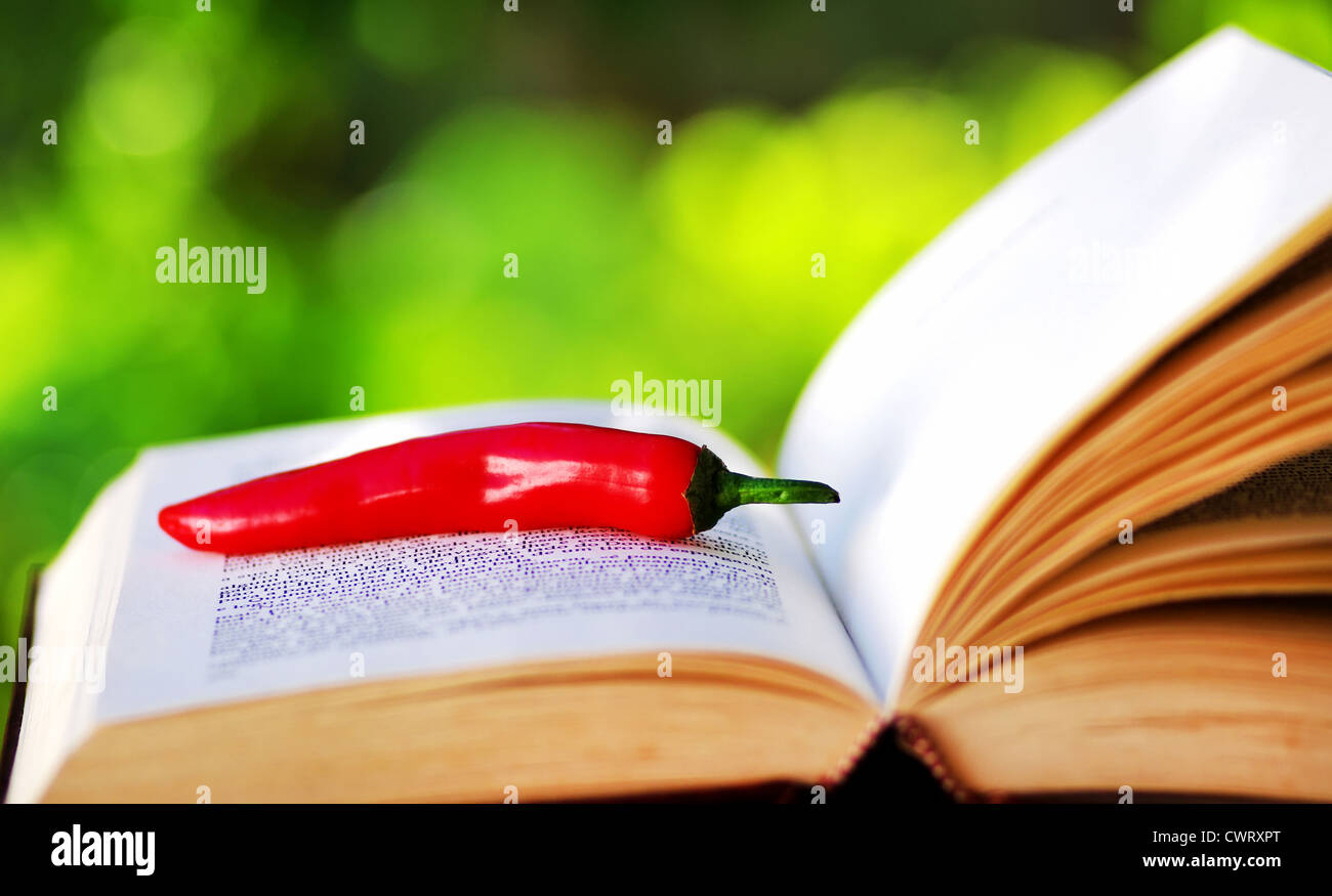Peperoncino rosso sul libro aperto Foto Stock