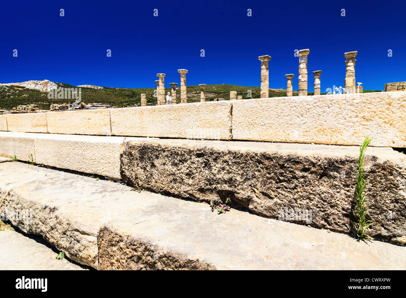 Basilica e il forum presso le rovine Romane di Baelo Claudia a Bolonia beach , Tarifa , Cadice , Andalusia , Spagna Foto Stock
