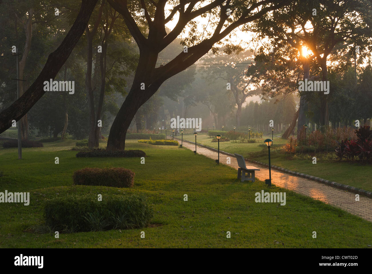 Elk201-2006 India, Karnataka, Mysore, sunrise in posizione di parcheggio Foto Stock