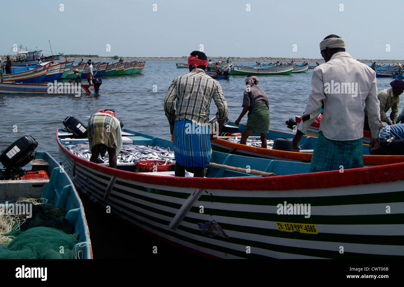 I pescatori torna in porto costiero dopo il grande delle catture di pesci.scena da Thangassery porto di pesca in Quilon,Kerala, India Foto Stock