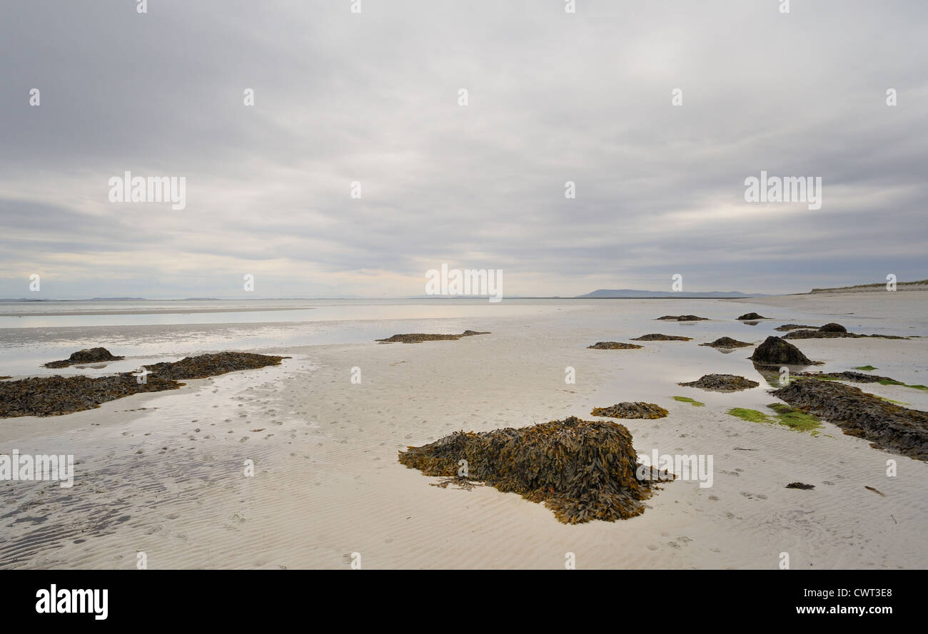 Ammassi di alghe marine in una remota spiaggia sabbiosa Foto Stock