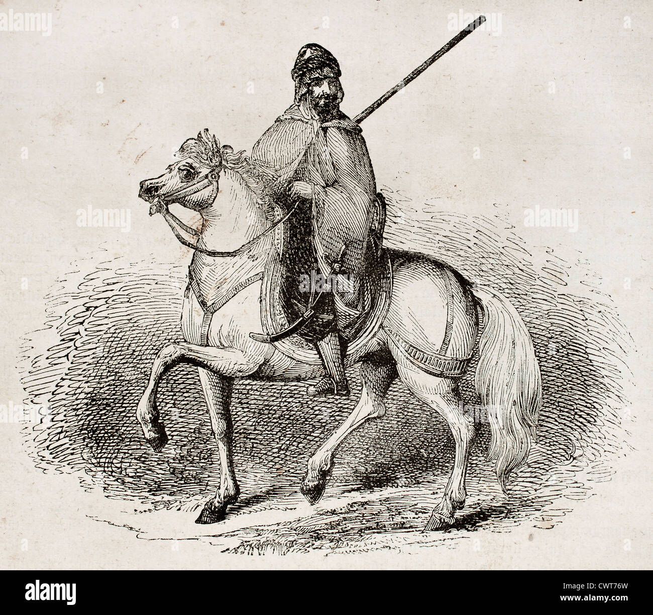 Cavaliere arabo Foto Stock