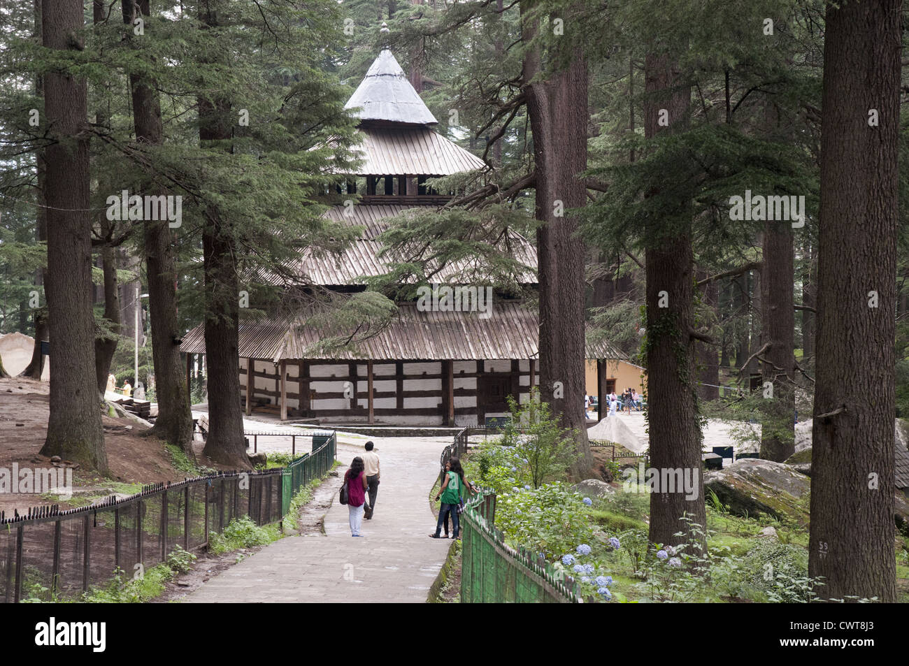 16esimo secolo Hadimba o Tempio Dhungri in Manali, Himachal Pradesh, circondato da deodar (cedar) foreste. Foto Stock