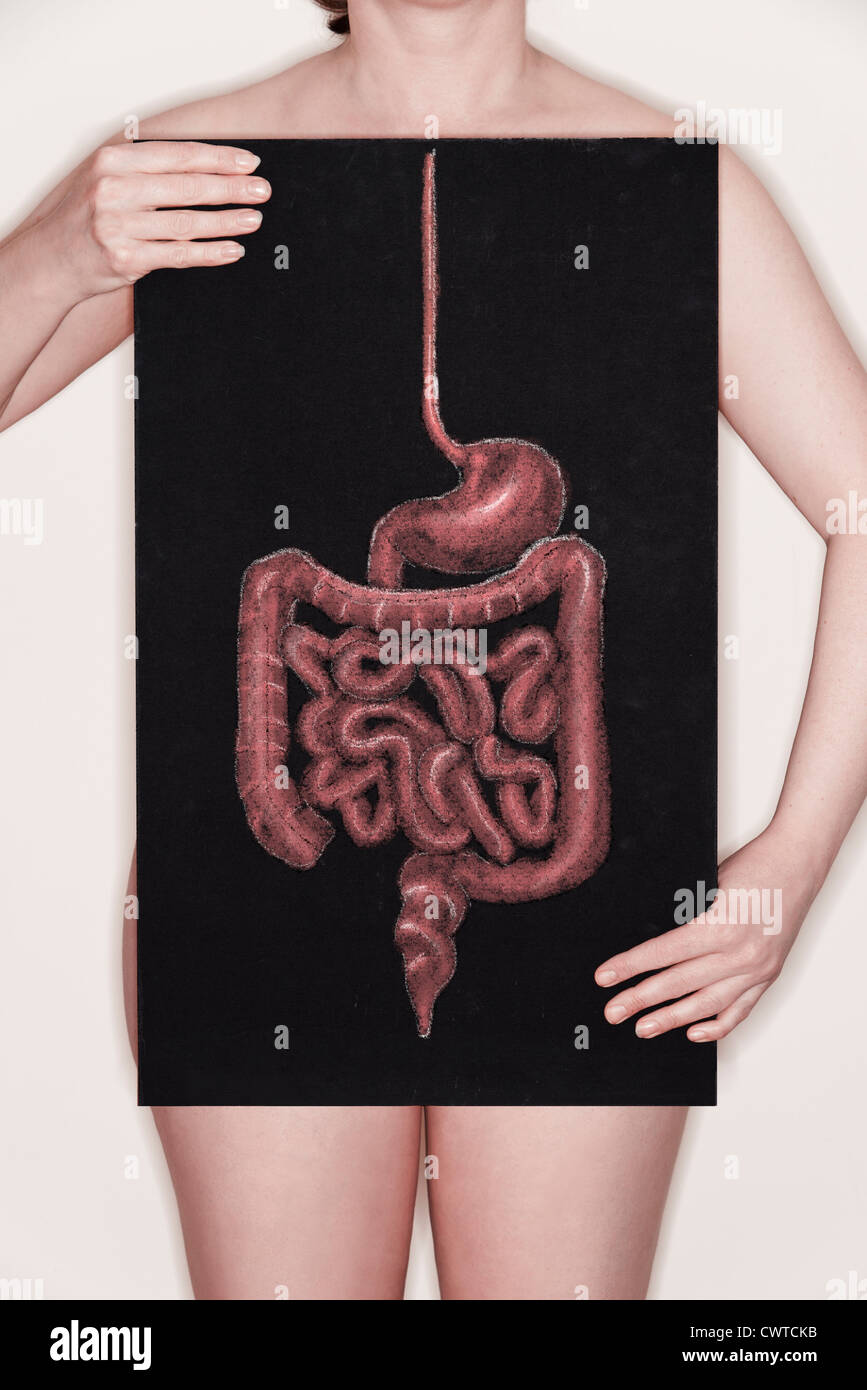 Donna che mantiene una lavagna con un'illustrazione dell'apparato digestivo umano tracciata su di esso in gesso. Concetto di immagine Foto Stock