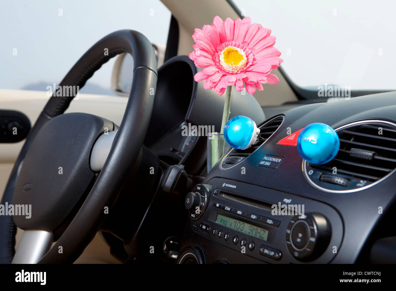 Per interni auto, volante, nero, fiore, orizzontale, Cina, Pechino, alberi, verde, sky, campagna, guida, Foto Stock