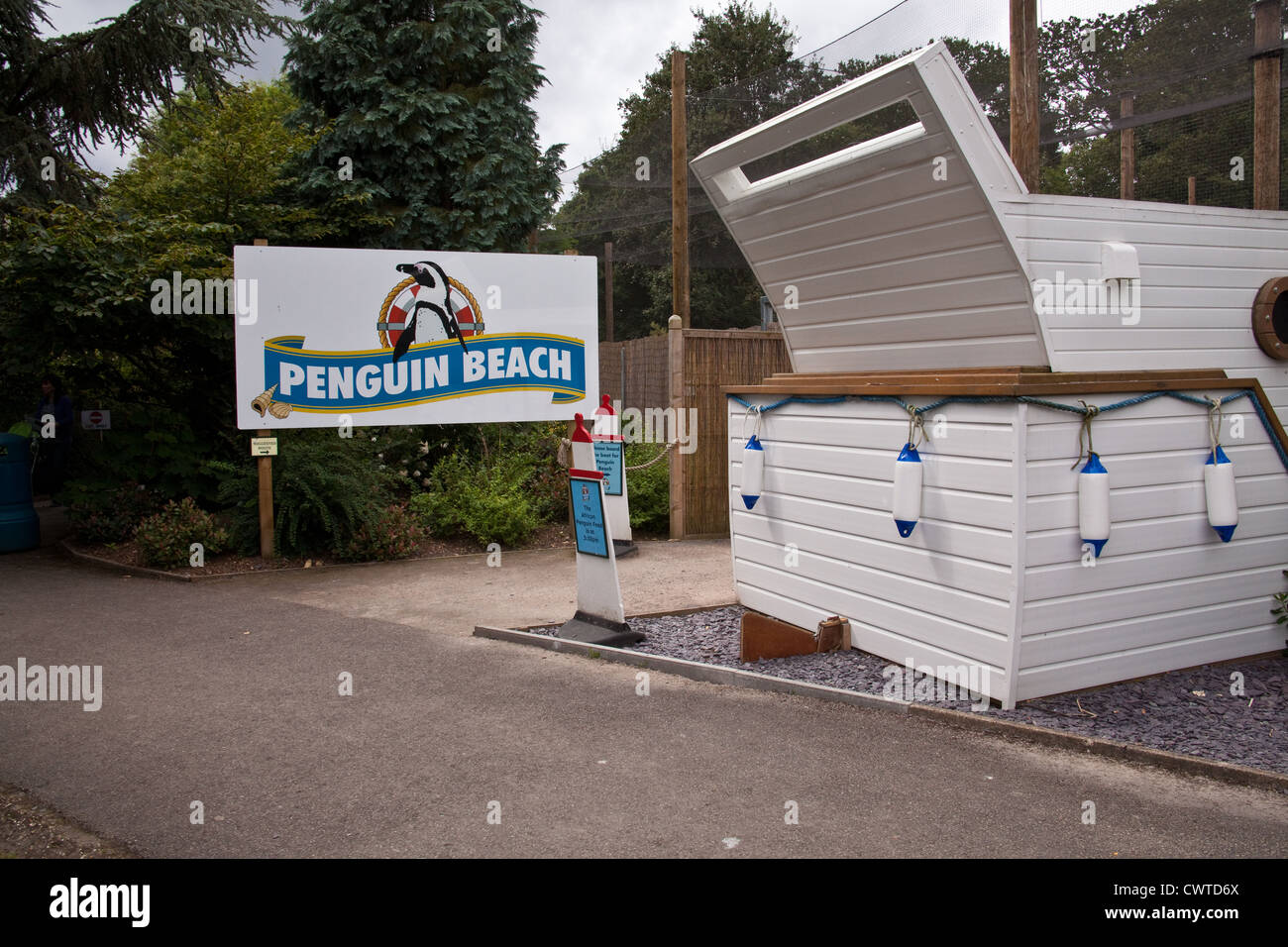 Penguin beach, Birdworld, Farnham, Surrey, Inghilterra, Regno Unito. Foto Stock