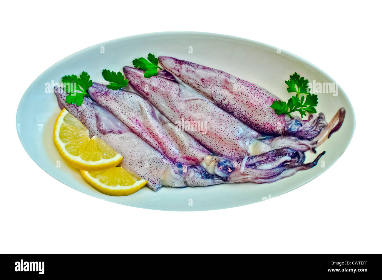 Crudo fresco di calamari con il limone Foto Stock