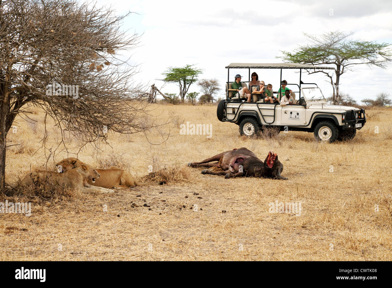Un turista famiglia su una jeep safari guardando i Lions e le loro kill, Riserva Selous Tanzania Africa Foto Stock