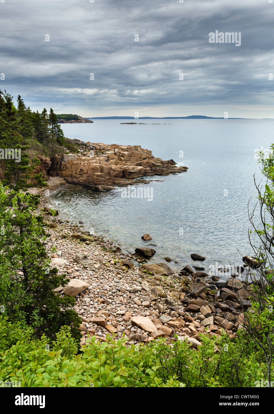 Costa nel Parco Nazionale di Acadia, isola di Mount Desert, Maine, Stati Uniti d'America Foto Stock