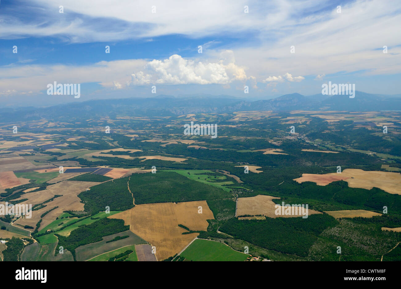 Vista aerea di campi di lavanda in fine giugno, plateau de Valensole, intorno al paese di Valensole, Alpes de Haute Provence, Francia Foto Stock